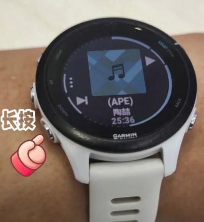 佳明手表蓝牙设置在哪里图标