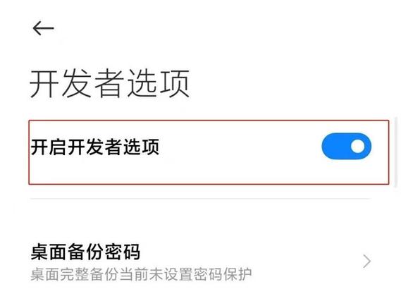 关闭了开发者选项还是处于开发者模缩略图