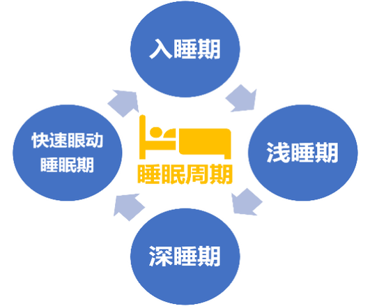 睡觉生物钟是什么意思缩略图