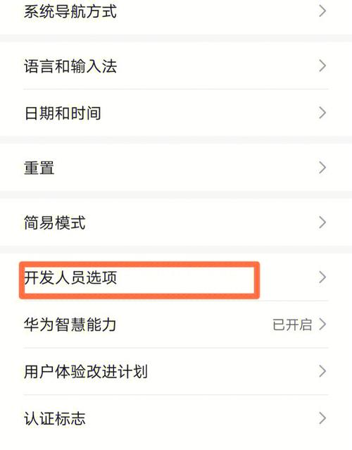 华为p30如何开启开发者模式缩略图