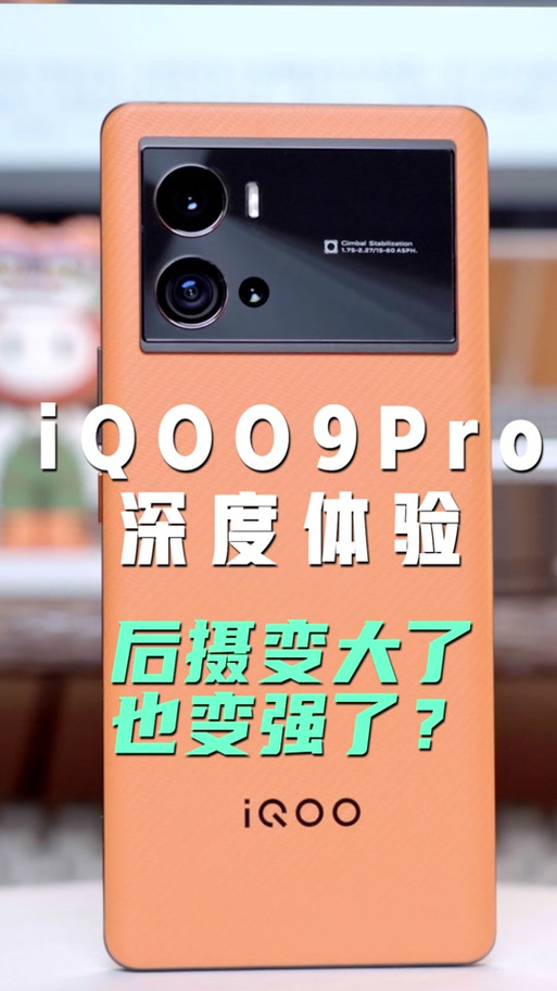 买vivo演示机十大忠告游戏截图