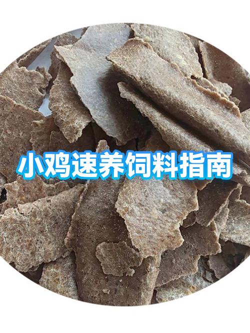 小鸡喂什么饲料长得快又好养缩略图