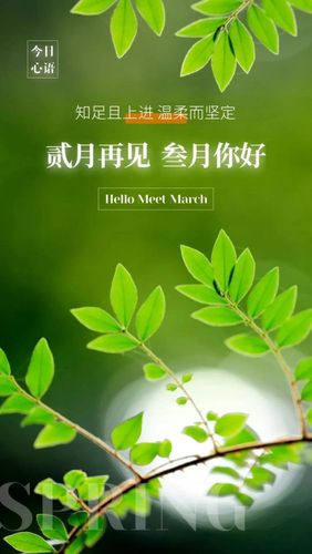三月最火文案短句游戏截图