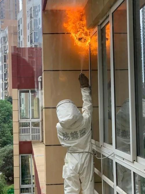 我的世界蜂巢没有蜜蜂了怎么办缩略图