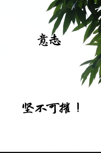 手机会被掰坏吗图标