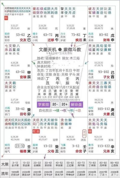 飞星紫微斗数排盘软件缩略图