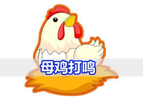 母鸡早上打鸣有什么预兆缩略图