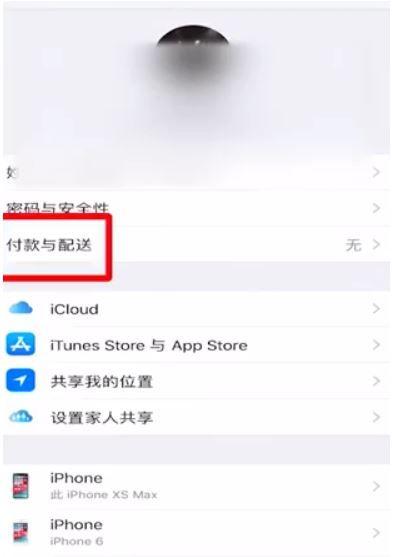 怎么把苹果id付款方式取消图标