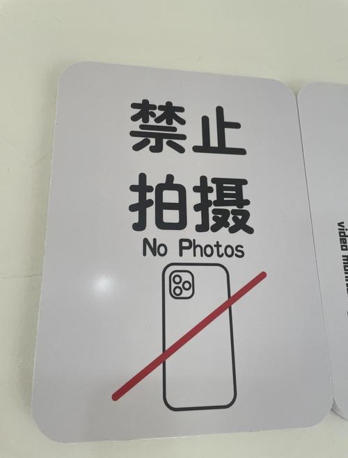 请勿翻拍照片是什么意思游戏截图