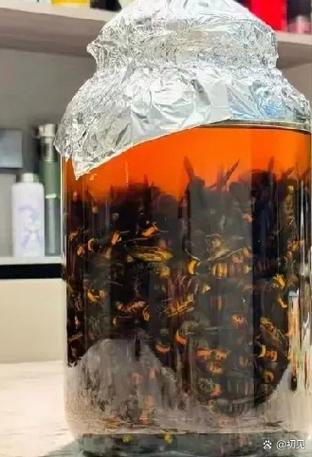 双向治疗by蜜蜂酒缩略图