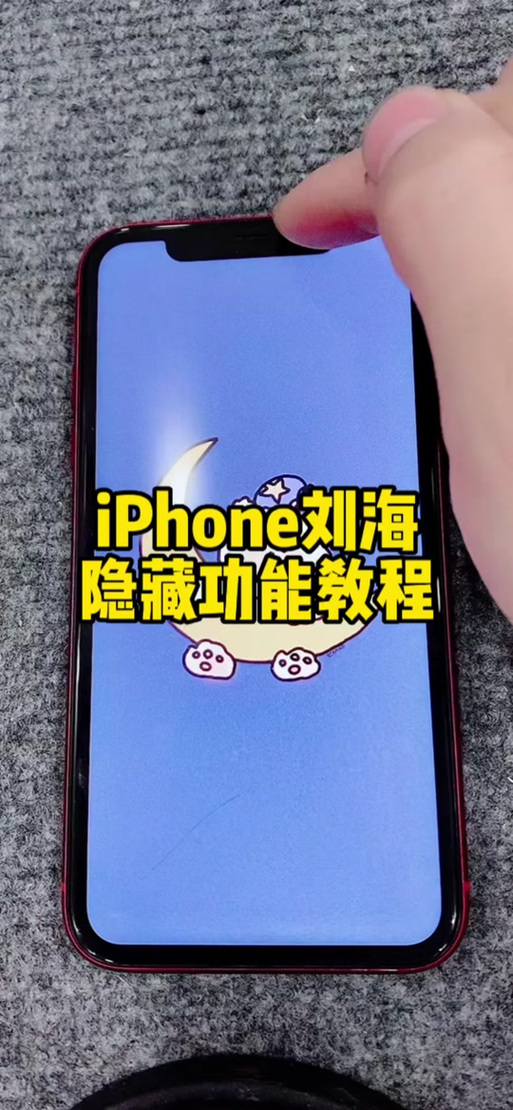 苹果隐藏刘海屏设置游戏截图