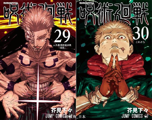 咒术回战日文原版漫画缩略图