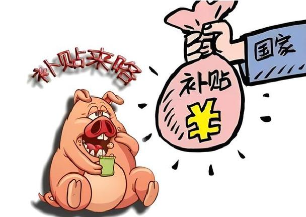 国家生猪补贴政策最新缩略图