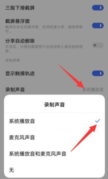vivo手机录屏没有声音的解决方法缩略图