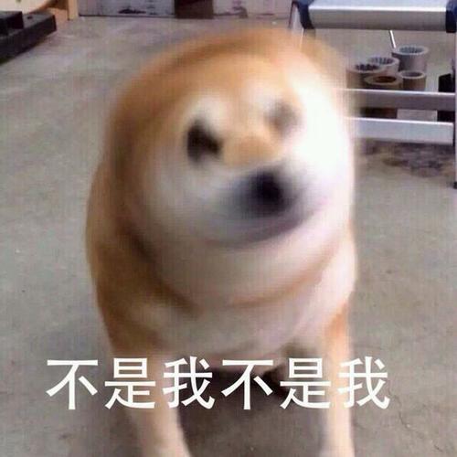 我是不是人我到底是不是人表情包缩略图