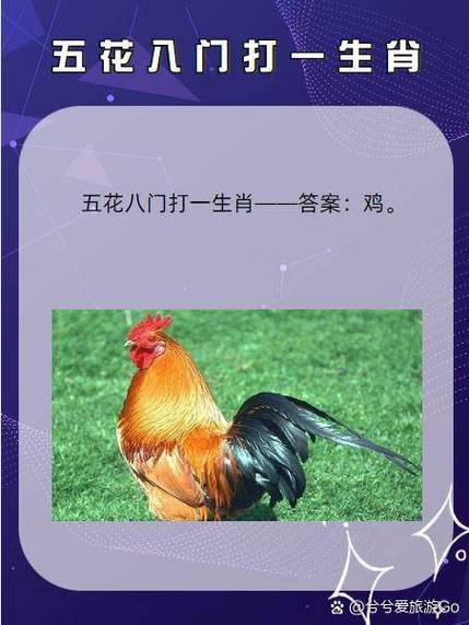 欲钱买小鸡啄米打一个生肖缩略图