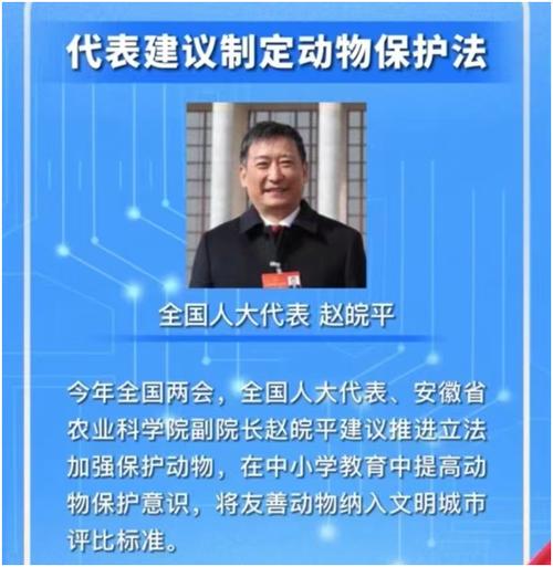 故意毒死动物是什么罪游戏截图