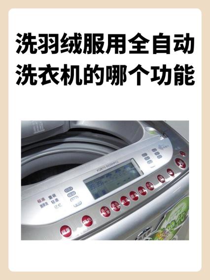 全自动洗衣机怎么恢复出厂设置图标