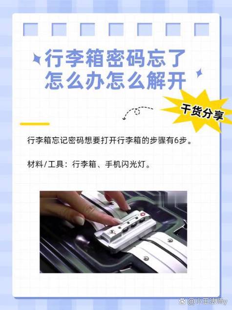 皮箱子的密码忘记了怎么办游戏截图