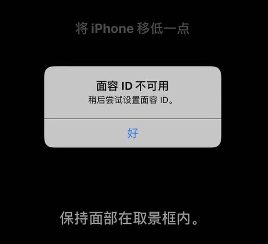 苹果突然识别不了面容缩略图