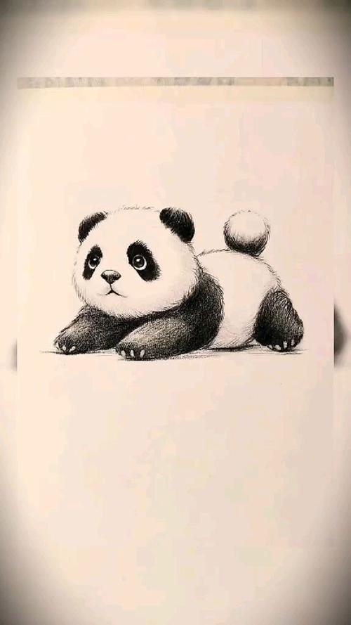 熊猫怎么画漂亮又简单缩略图