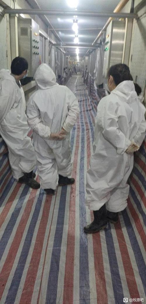 牧原干久了容易得白血病吗缩略图