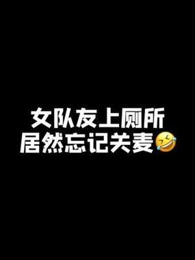 吃鸡里面把队友的麦关掉了队友还可游戏截图