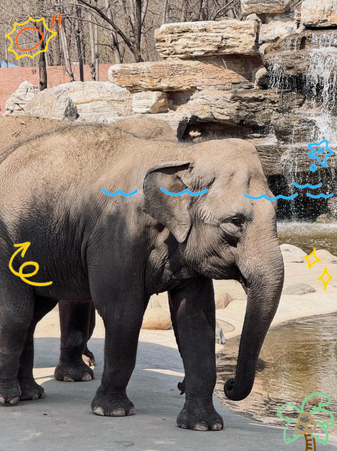 北京动物园冬季好玩不图标