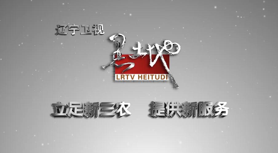 辽视直播在线观看辽宁卫视缩略图