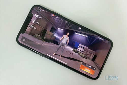 苹果x吃鸡刘海怎么去掉缩略图