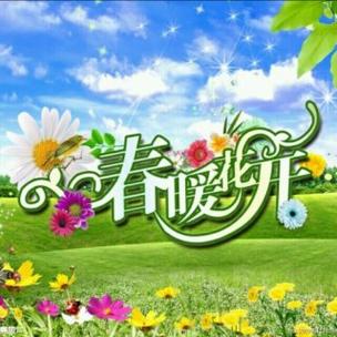 全民k歌有人送一朵花图标