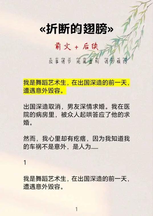 舞文小说网改名叫什么了缩略图
