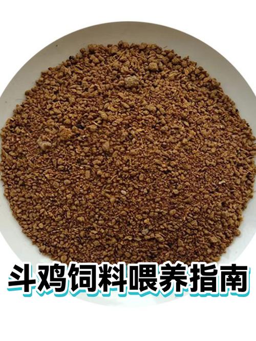 用什么喂斗鸡最旺缩略图