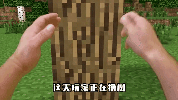 我的世界视角为什么突然变小缩略图