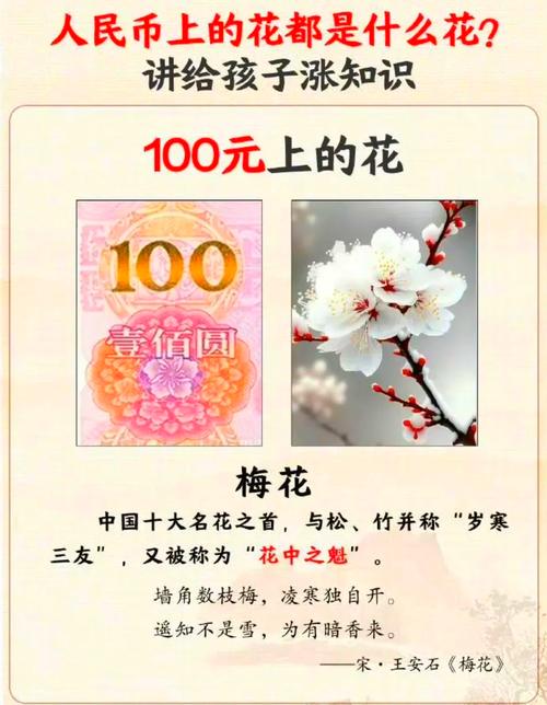 全民k歌一朵花多少经验缩略图