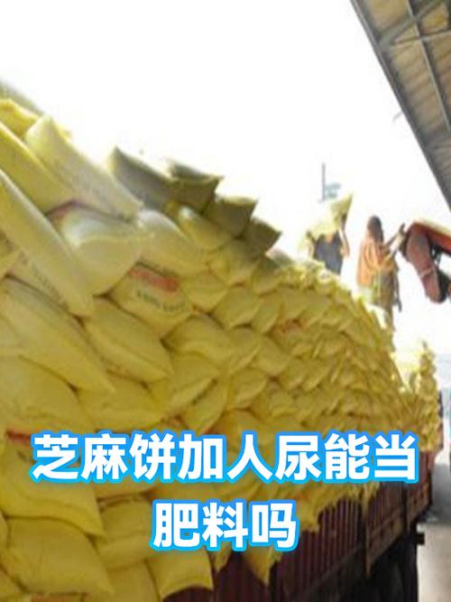 芝麻饼肥的氮磷钾含量缩略图