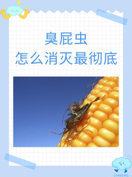 杀死臭屁虫小妙招缩略图