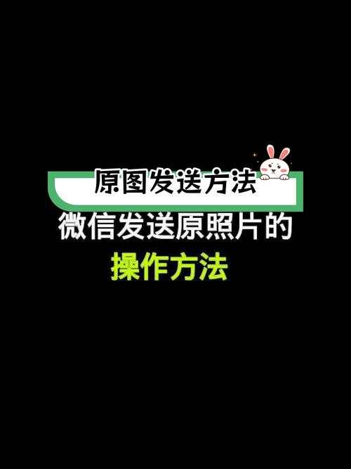 手机照片如何发送原图缩略图
