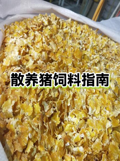 猪吃什么食物为主缩略图