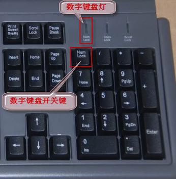 电脑键盘打字母出现数字是缩略图