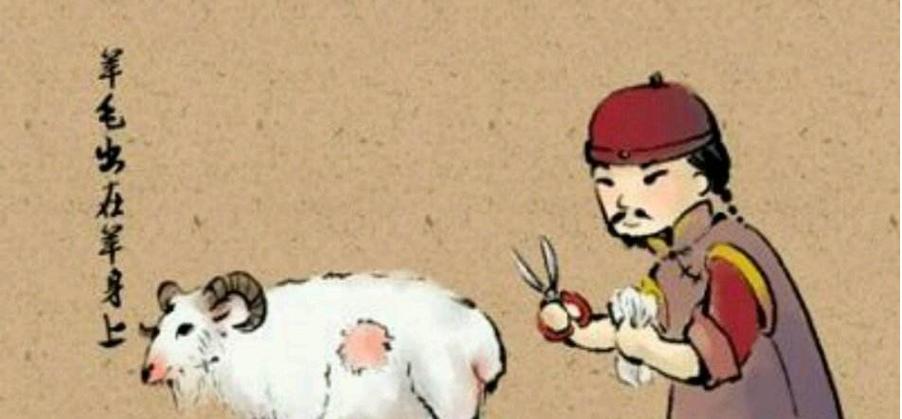 羊毛出在羊身上什么缩略图
