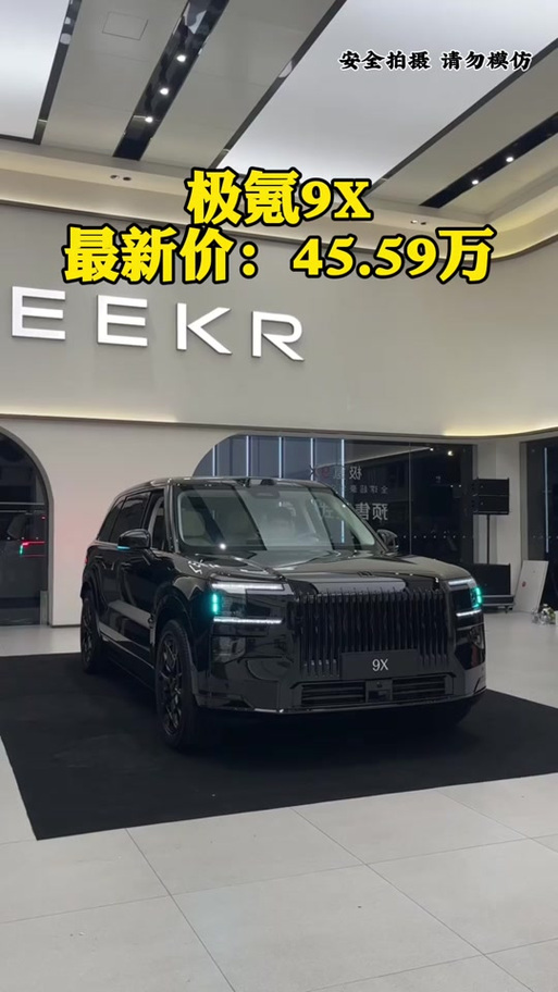 极氪汽车9x价格及图片缩略图