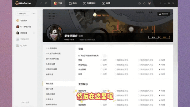 wegame怎么关闭战绩查询缩略图