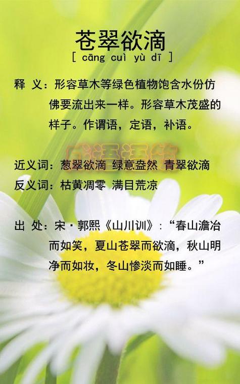 四字词语什么翠欲滴缩略图