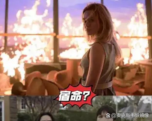 女主生活系统类小说缩略图