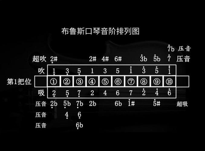 初学口琴买什么调的好缩略图