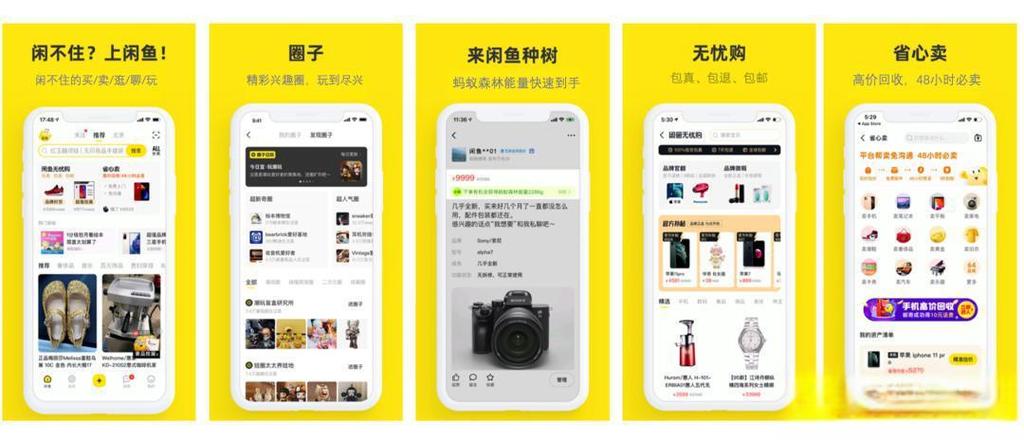 新版闲鱼我的圈子在哪