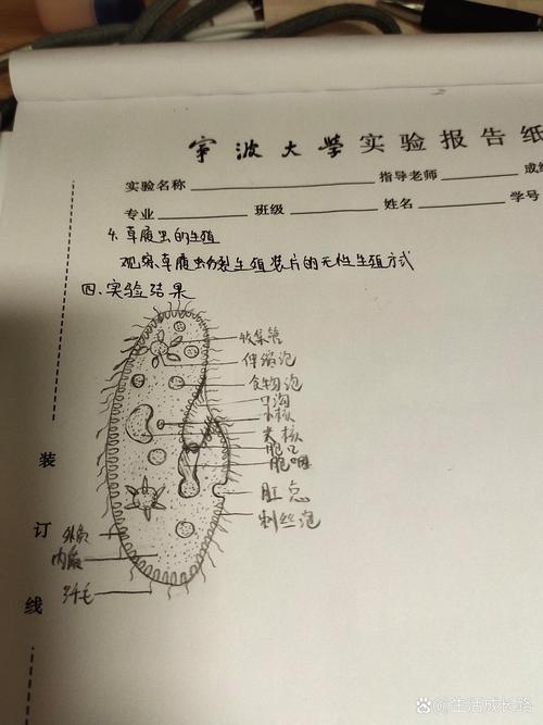 草履虫养久了会得白血病吗缩略图