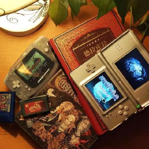 nds恶魔城三部曲顺序游戏截图