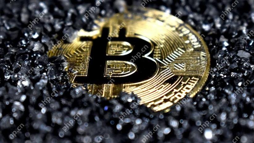 未来最有潜力的数字币缩略图